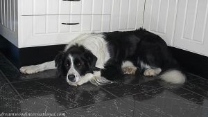 kitchen floor1